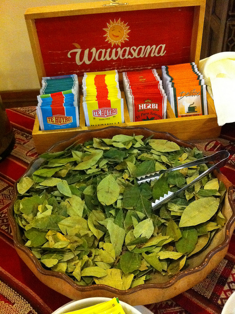 Hoja de coca para evitar el mal de altura Hoja de coca para evitar el mal de altura