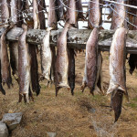 Secadero de pescado