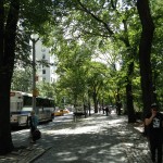 Caminando por la acera del Central Park