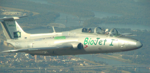 epv biocombustible-w