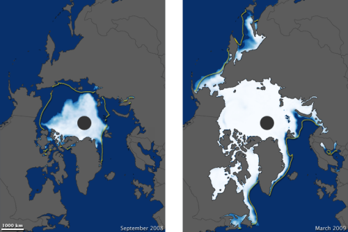 npseaice_ssmr_200903