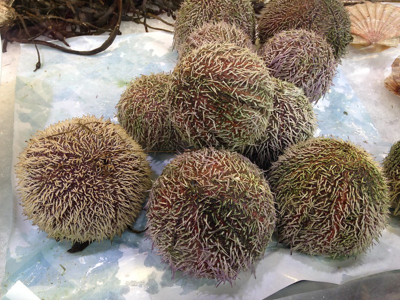 Mercado de Bergen, Noruega