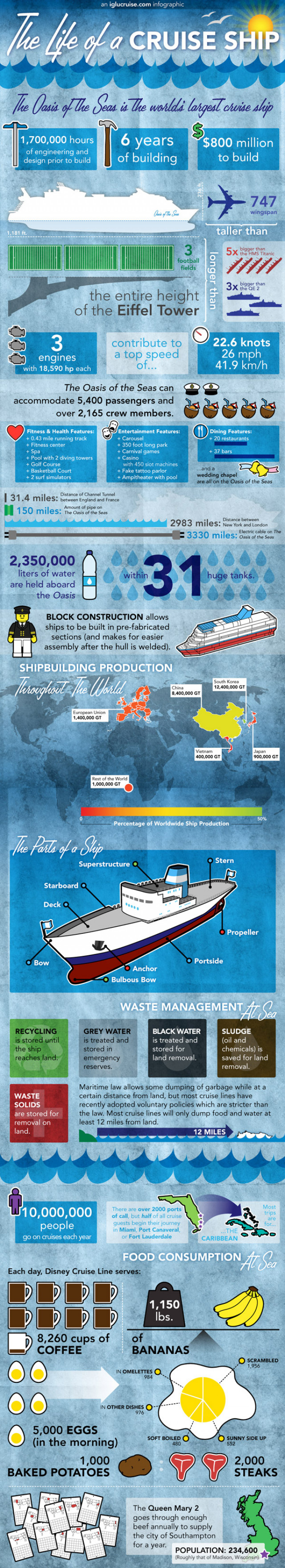 The Life of A Cruise Ship