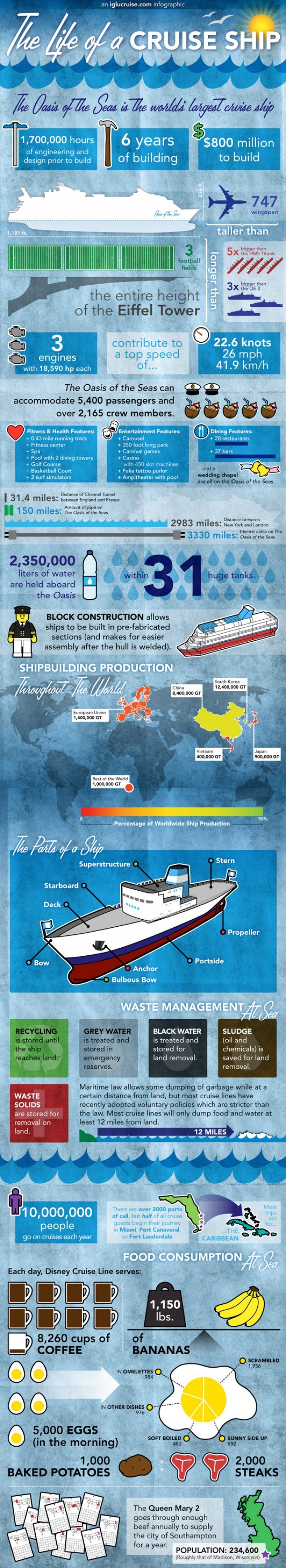 The Life of A Cruise Ship