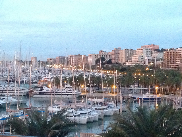 10420809666_c8ac666327_z