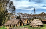 Parque Neolitico La Draga