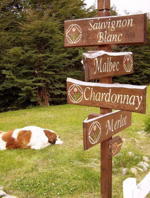 3239691447_1fe594d4d3_b