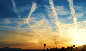 el proximo viaje