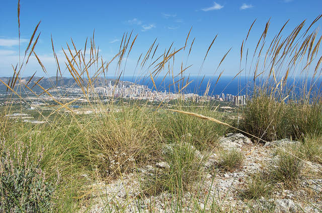 Benidorm