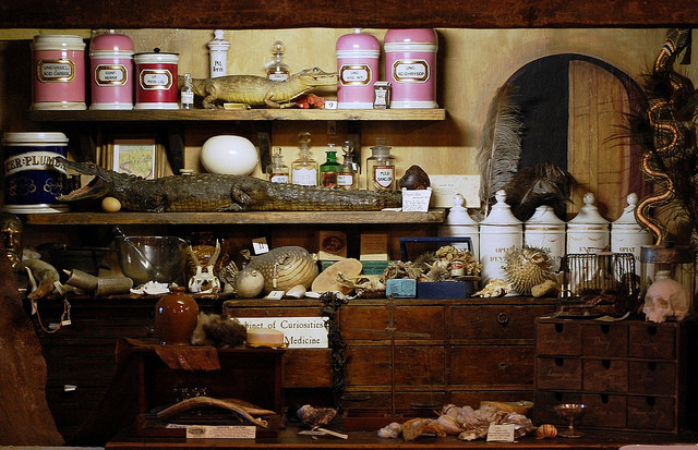 5337236588_4f7c4e8dc6_z