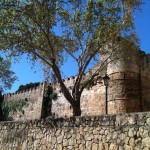 El Castillo, Casco Antiguo