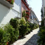 Una callecita del Casco Antiguo