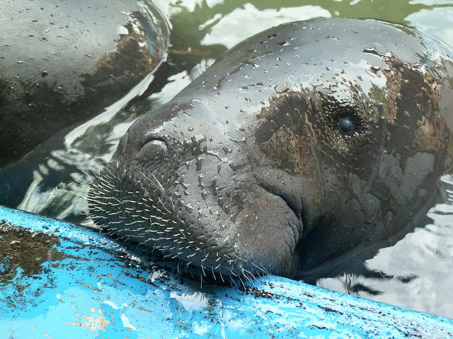 9142725961_eac592798d_z