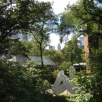 Postales robadas del MET y Central Park