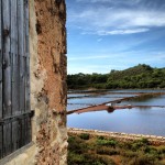 Salinas en la Reserva de la Concepció