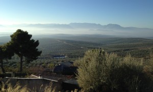 Valle de olivos, Sierra de Cazorla