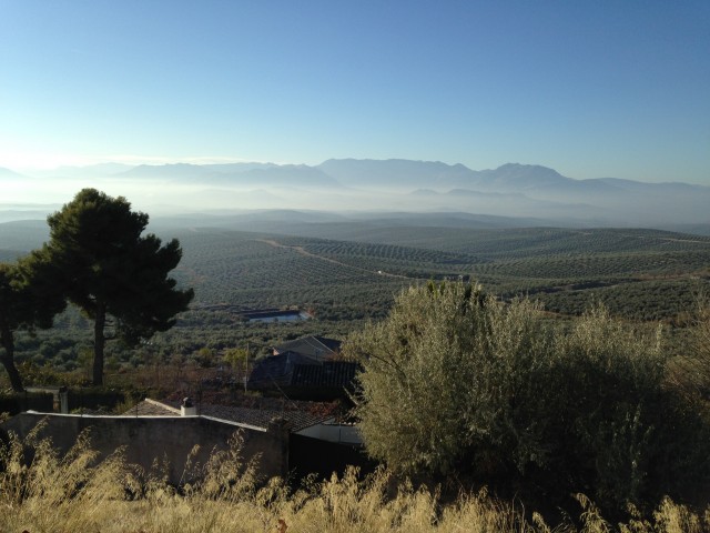 Valle de olivos, Sierra de Cazorla