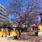 Junio en Marbella