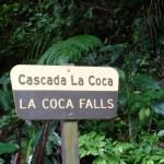 Naturaleza en sus sierras