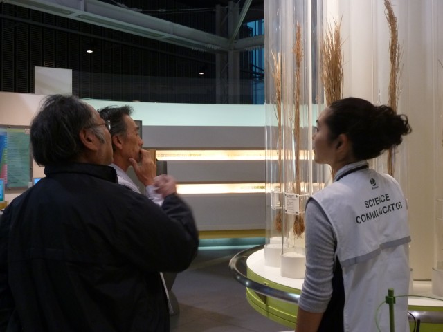 P1150340
